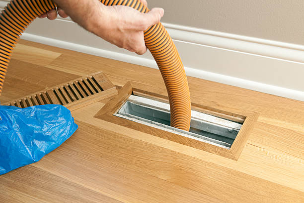 Best Air Duct Mold Removal  in Otsego, MI